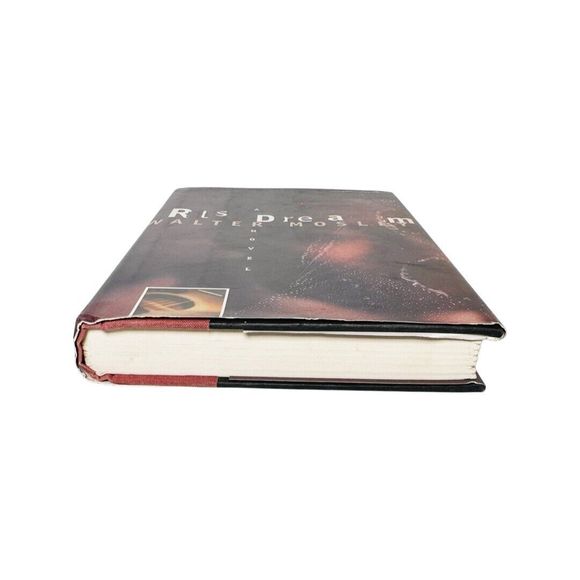 RL's Dream Hardcover by Walter Mosley - Picture 5 of 7